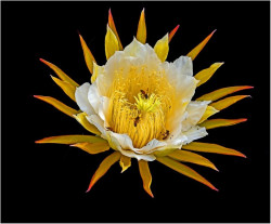 ©-David-Nisbet-2019-2019-03-27-42998_tn