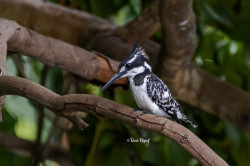 ©-David-Nisbet-2021-2021-12-12-52744_tn