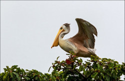 ©-David-Nisbet-2021-2021-12-12-52749_tn
