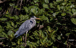 ©-David-Nisbet-2021-2021-12-19-52892_tn