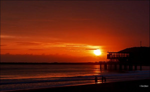 ©-David-Nisbet-2021-2021-12-23-53005_tn