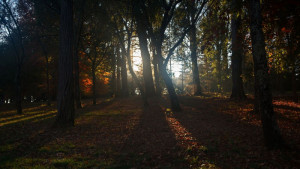 ©-David-Nisbet-Early-Morning_tn